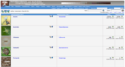 Desktop Screenshot of macroid.ru